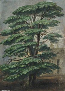 Cedar At Bevois Mount Where Pope Sat — Albrecht Dürer, Realism