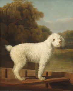 White Poodle In A Punt — George Stubbs, Realism