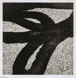Westport 87, 1988, From The Portfolio Tar Abstracts — Aaron Siskind