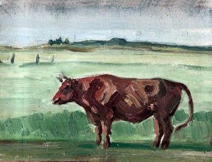 Sketch of a Bull