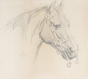 Studies With Horses — Otto Eerelman