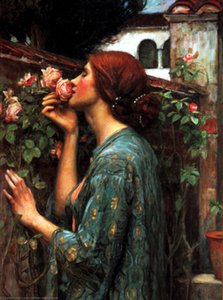 My Sweet Rose
