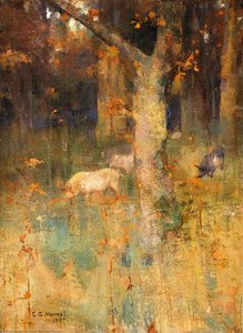 Pigs in a Wood
