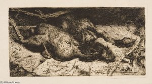Plucked Cocks — Floris Verster