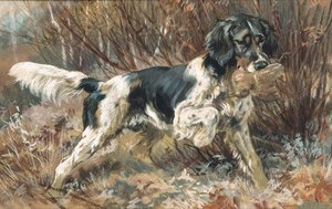 A Setter Retrieving — Edmund Henry Osthaus