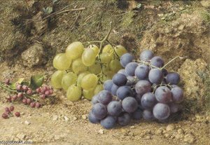 Still-life With White And Black Grapes And Redcurrents — William Henry Hunt