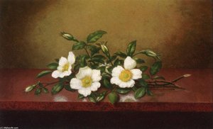 Cherokee Roses On A Shiney Table — Martin Johnson Heade
