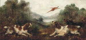 Spaniel Putting A Pheasant Up — George Armfield (smith)