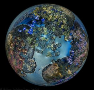 Mega World — Orenthal James Simpson