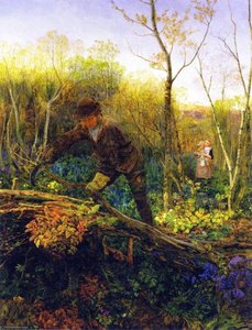 The Hedger