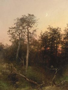 Florida Sunset — Herman Herzog