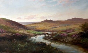 Cart Travelling across Dartmoor, Devon