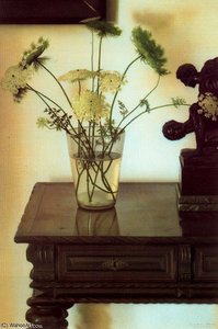 Untitled (658) — Claudio Bravo