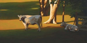 Cows — James Netherlands