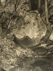 Woodland Interior — William Trost Richards