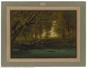 An Alligator's Nest — George Catlin