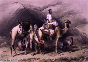 Dromedaries Halting in the Desert