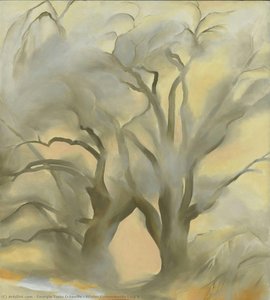 Winter Cottonwoods East V — Georgia O'keeffe