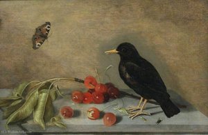 A Blackbird, Butterfly and Cherries