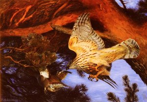 Falke Im Angriff — Bruno Liljefors, Impressionismus