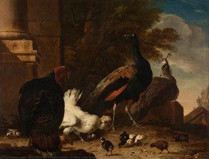 A Hen With Peacocks And A Turkey, Melchior D"hondecoeter, C. 1680 — Melchior De Hondecoeter