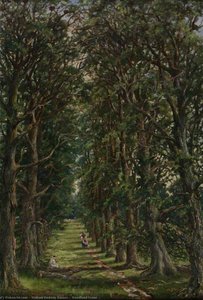 Woodland Scene