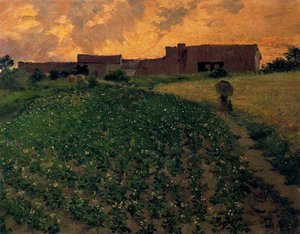 Potato Field — Ignacio Díaz Olano