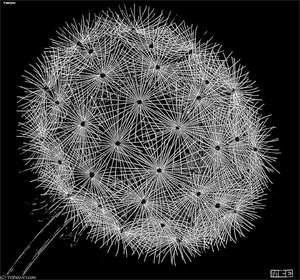 Blowball — Maurits Cornelis Escher