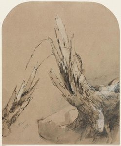A Blasted Tree — Jasper Francis Cropsey