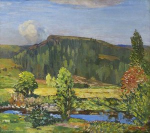 Summer landscape