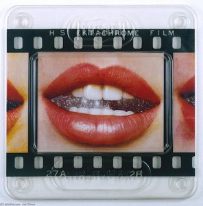 Transparency. the Five Senses, Taste screenprint on perspex