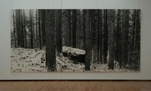 Walking In The Mountains-december — Honda Takeshi