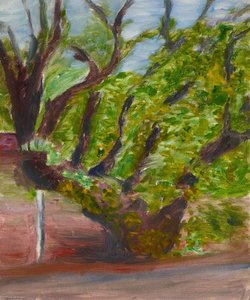 Tree — Myfanwy Baker