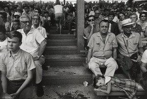 Little League World Series — Tod Papageorge