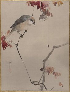 Bird on Branch Watching Spider