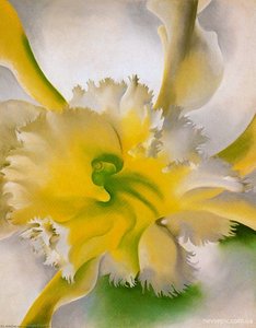 An Orchid — Georgia O'keeffe