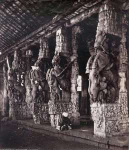 Carved horses in the Sheshagirirayar Mandapa at the Ranganatha temple of Srirangam