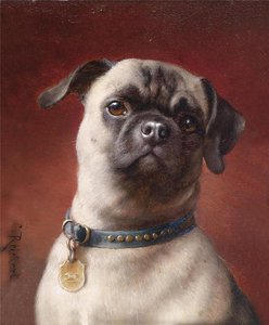 Pug — Carl Reichert