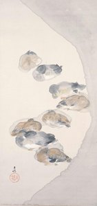 Geese - Turkeys — Hyakusui Hirafuku