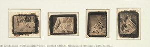 Untitled (still Life: Newspapers, Dinosaurs, Dolls, Cloths...) — Felix Gonzalez-torres