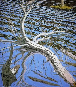 Untitled (8577) — Neil Gavin Welliver