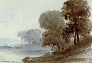 Trees On The Water's Edge