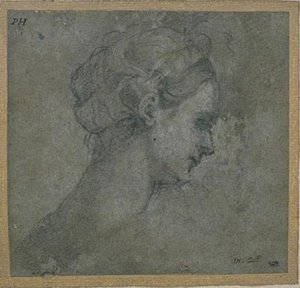 Study Of A Head Of A Young Woman, Side View, Right — Sebastiano Del Piombo