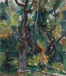 Oak tree