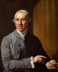 John Hunter — Johann Zoffany