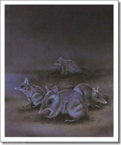 Untitled (195) — Graeme Base