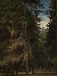 Clearing In The Fir Forest — Johann Wilhelm Schirmer
