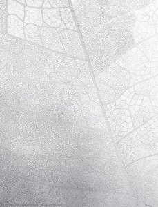 Narration of a leaf