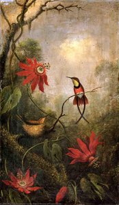 Passion Flowers and Hummingbirds