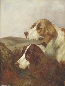 A Brace Of Pointers — Colin Graeme Roe